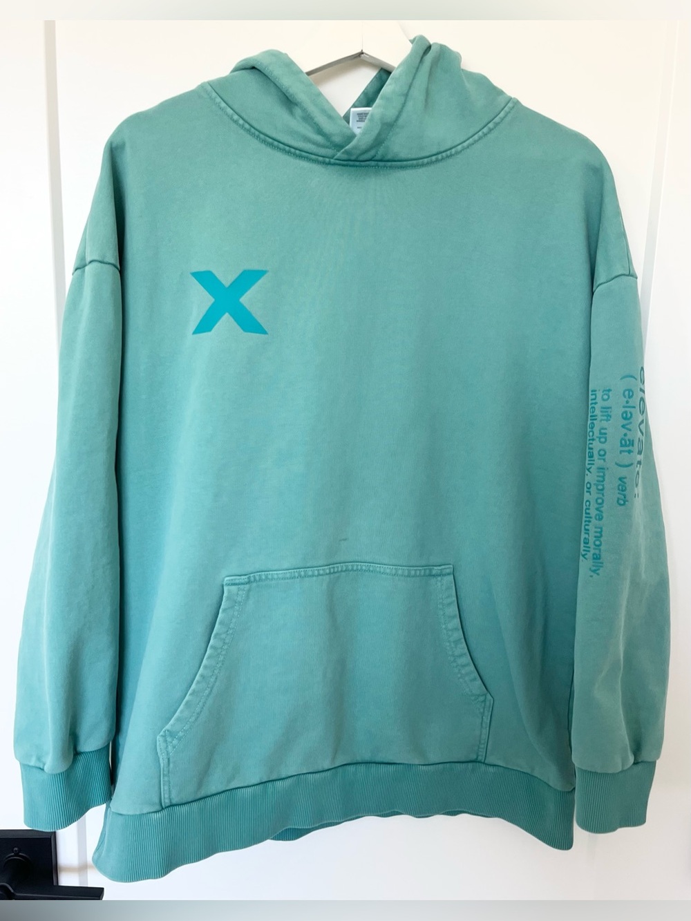 Tiger Friday Elevate Hoodie Sweatshirt Pullover Aloe Men’s Size Medium - Picture 2 of 11